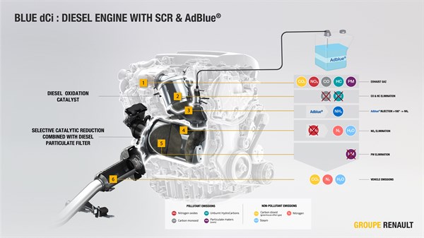 Zoom sur le réservoir d'AdBlue® 